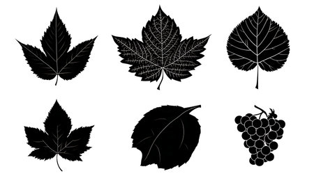Edible Tree Leaf Black Solid Silhouettes - Set of Six isolated on plain white background.のイラスト素材