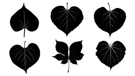 Heart-Shaped Tree Leaf Black Solid Silhouettes - Set of Six isolated on plain white background.のイラスト素材
