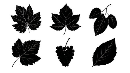 Edible Tree Leaf Black Solid Silhouettes - Set of Six isolated on plain white background.のイラスト素材