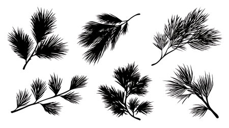 Conifer Needle Cluster Black Solid Silhouette Collection isolated on plain white background.のイラスト素材