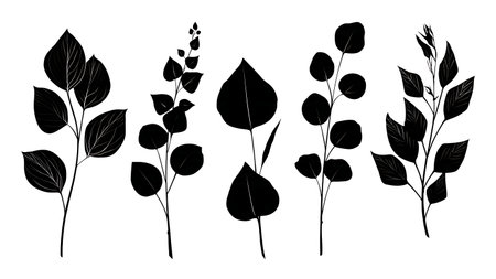 Collection of Six Eucalyptus Leaf Vector Silhouettes isolated on plain white background.のイラスト素材
