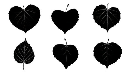 Heart-Shaped Tree Leaf Black Solid Silhouettes - Set of Six isolated on plain white background.のイラスト素材
