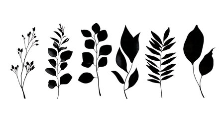 Collection of Six Australian Gum Tree (Eucalyptus) Leaf Silhouettes isolated on plain white background.のイラスト素材