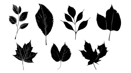 Hand-Drawn Style Silhouettes of Six Tree Leaves in Black isolated on plain white background.のイラスト素材