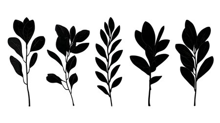 Collection of Six Mangrove Tree Leaf Vector Silhouettes isolated on plain white background.のイラスト素材