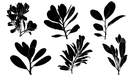 Six Mangrove Species Leaf Silhouette Patterns isolated on plain white background.のイラスト素材