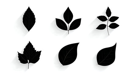 Black Silhouettes of Leaves with Simple Shadows Set of Six isolated on plain white background.のイラスト素材