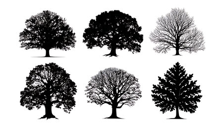 Black Vector Silhouettes of Six Mythological Tree Leaves isolated on plain white background.のイラスト素材