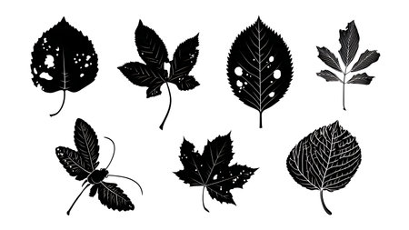 Collection of Six Insect-Damaged Leaf Vector Silhouettes isolated on plain white background.のイラスト素材