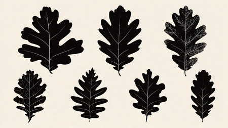 Collection of Six Different Oak Leaf Vector Silhouettes isolated on plain white background.のイラスト素材