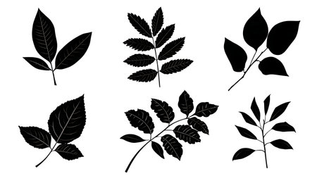 Poisonous Plant and Tree Leaf Vector Silhouette Collection isolated on plain white background.のイラスト素材
