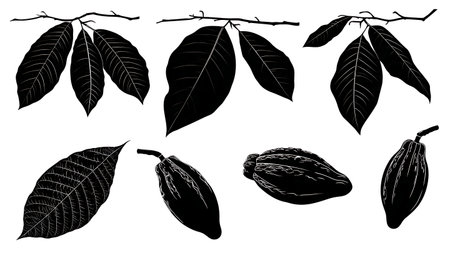 Cacao (Chocolate) Tree Leaf and Pod Black Vector Silhouette Set isolated on plain white background.のイラスト素材