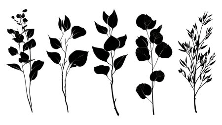 Collection of Six Eucalyptus Leaf Vector Silhouettes isolated on plain white background.のイラスト素材