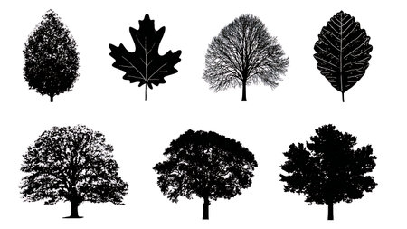 Black Vector Silhouettes of Six Mythological Tree Leaves isolated on plain white background.のイラスト素材