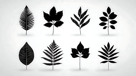 Leaf Vein Pattern Silhouettes of Six Varieties in Black isolated on plain white background.のイラスト素材