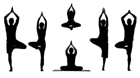 Group Yoga and Fitness Class in the Park Silhouettes isolated on plain white background.のイラスト素材