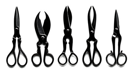 Variety of Garden Shears and Pruners Black Solid Silhouettes isolated on plain white background.