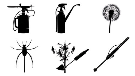Garden Pest and Weed Control Tools Black Solid Silhouettes Set of Six isolated on plain white background.のイラスト素材