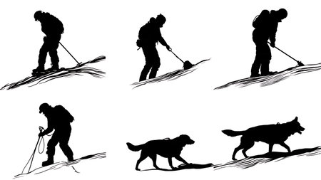 Avalanche Rescue with Probes and K9 Silhouettes isolated on plain white background.のイラスト素材