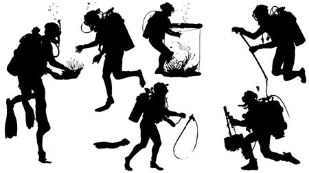 Six Dynamic Black Solid Marine Biologist Silhouettes isolated on plain white background.のイラスト素材