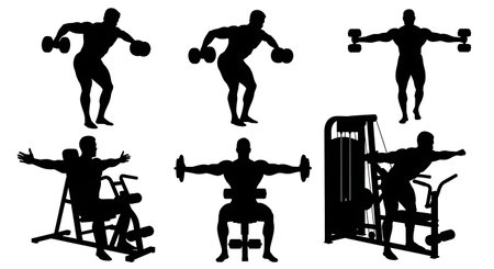 Black Solid Bodybuilder Reverse Fly Silhouettes Set of Six on White Background isolated on plain white background.のイラスト素材