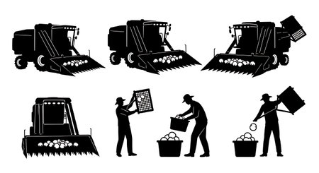 Black Solid Cotton Picker Harvest Silhouettes Set of Six on White Background isolated on plain white background.のイラスト素材