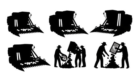 Black Solid Cotton Picker Harvest Silhouettes Set of Six on White Background isolated on plain white background.のイラスト素材
