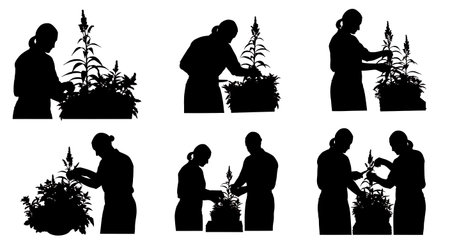 Black Solid Horticulturist Taking Cuttings Silhouettes Set of Six on White Background isolated on plain white background.のイラスト素材