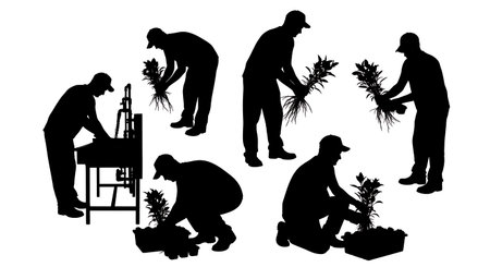 Black Solid Horticulturist Soil Probe Silhouettes Set of Six on White Background isolated on plain white background.のイラスト素材