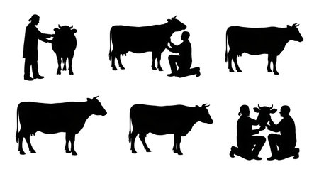Black Solid Vet Checking Cows Silhouettes Set of Six isolated on plain white background.のイラスト素材