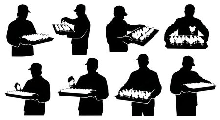 Black Solid Hatchery Worker Chicks Silhouettes Set of Six isolated on plain white background.のイラスト素材