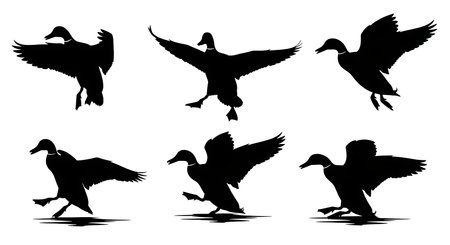 Black solid colour filled silhouettes Set.のイラスト素材