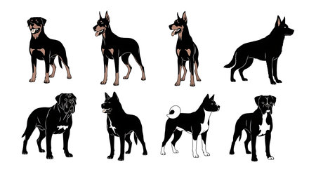 Black solid colour filled silhouettes Set.のイラスト素材