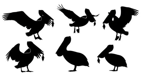 Black solid colour filled silhouettes Set.のイラスト素材