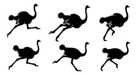 Black solid colour filled silhouettes Set.のイラスト素材