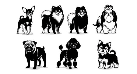 Black solid colour filled silhouettes Set.のイラスト素材