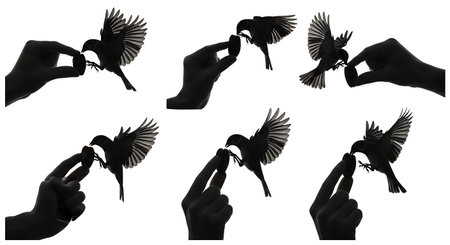 Black solid filled silhouettes isolated on plain white background