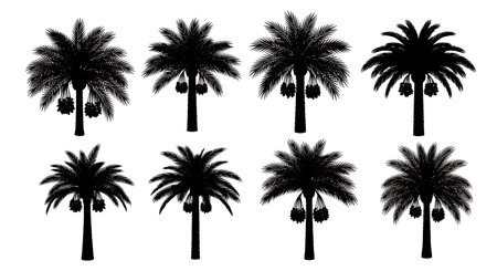 Black solid filled silhouettes isolated on plain white backgroundのイラスト素材