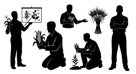 Black Solid Agriculture Tutor Crop Silhouettes Set of Six on White Background isolated on plain white background.のイラスト素材