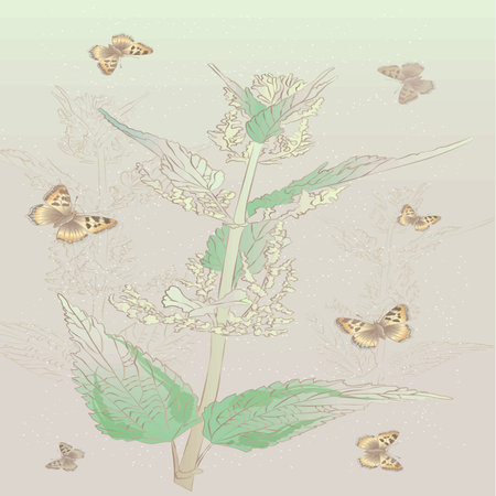 butterflies on a meadow in vintage style, vector illustrationのイラスト素材