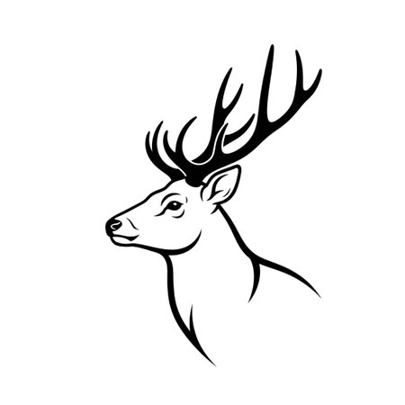 Vector illustration of a head isolated on white background.の写真素材