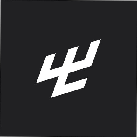abstract letter wl simple geometric line logo