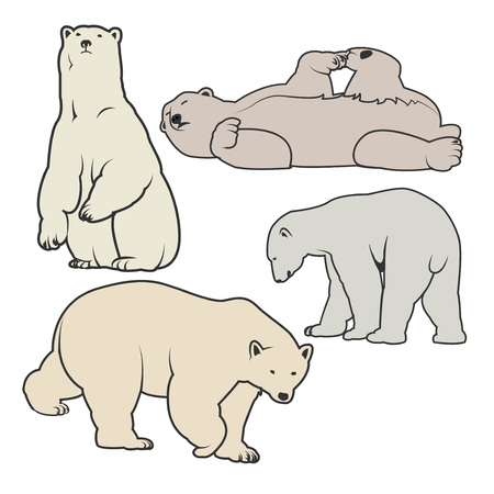 White Polar bear icons - illustration for you.のイラスト素材
