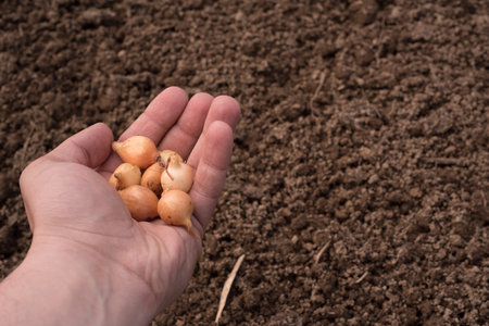 full hand of onion