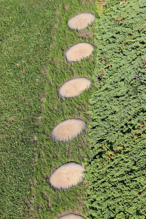 Concrete paths in the home gardenの写真素材