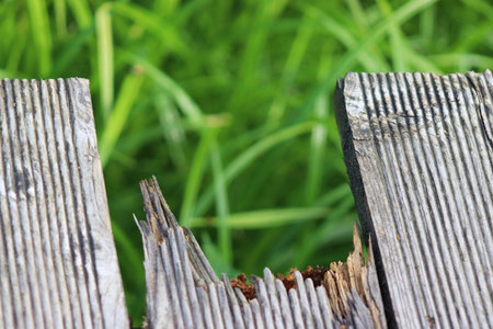 Broken terrace board. Cracked board.Terrace wooden platform. A wooden platform in the park. Decking wood pathの写真素材