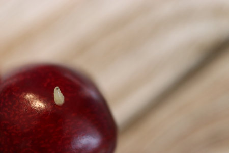White worm in a cherry tree. A cherry worm seen up close. A worm in a cherry fruit seen close up.の写真素材