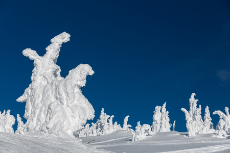 Santa carries dragon, natural snow sculpture on ski fields in British Columbia, Canadaの写真素材