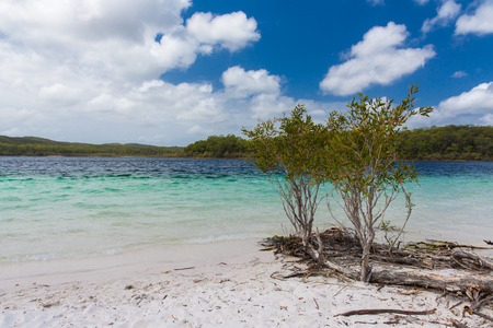 Crystal clear waters of Lake McKenzie, Fraser Island, Australiaの写真素材