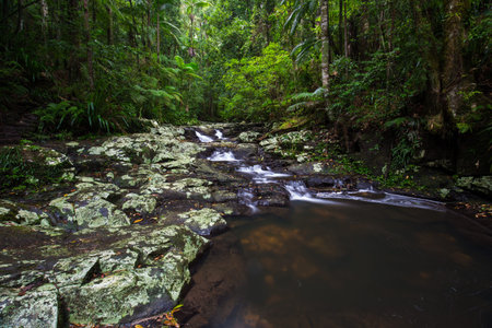Gold Coast and Tweed Coast hinterland waterfalls, Australiaの写真素材